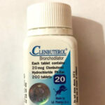 Clenbuterol Tablet Online - 500 pills