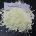 Parabolin (Trenbolone Hexahydrobenzylcarbonate) - 50g