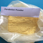 Parabolin (Trenbolone Hexahydrobenzylcarbonate)