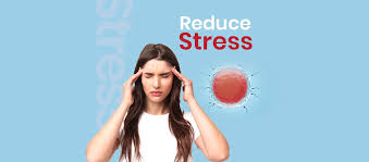 Case Study: The Impact of Anti-Anxiety Products on Stress Reduction